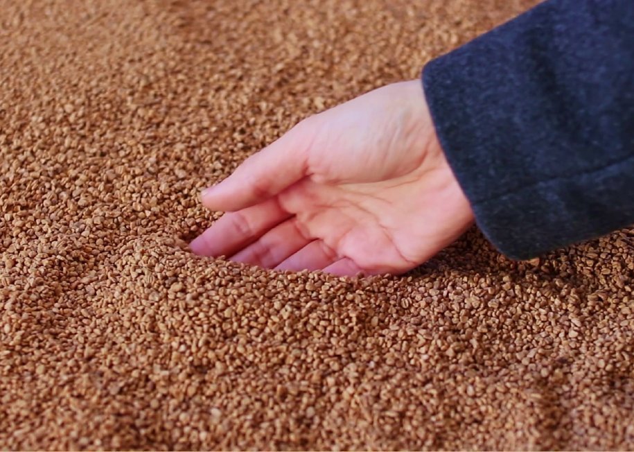 Hueso de Aceituna Certificado A1 en Sacos – Palet 70 x 15 kg | Garzón Green Energy - Imagen 4